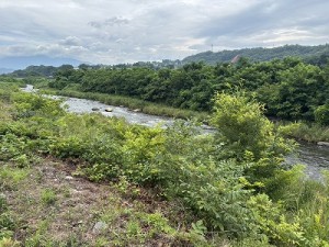 20260713-1縮小