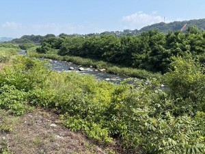 20260724-1縮小